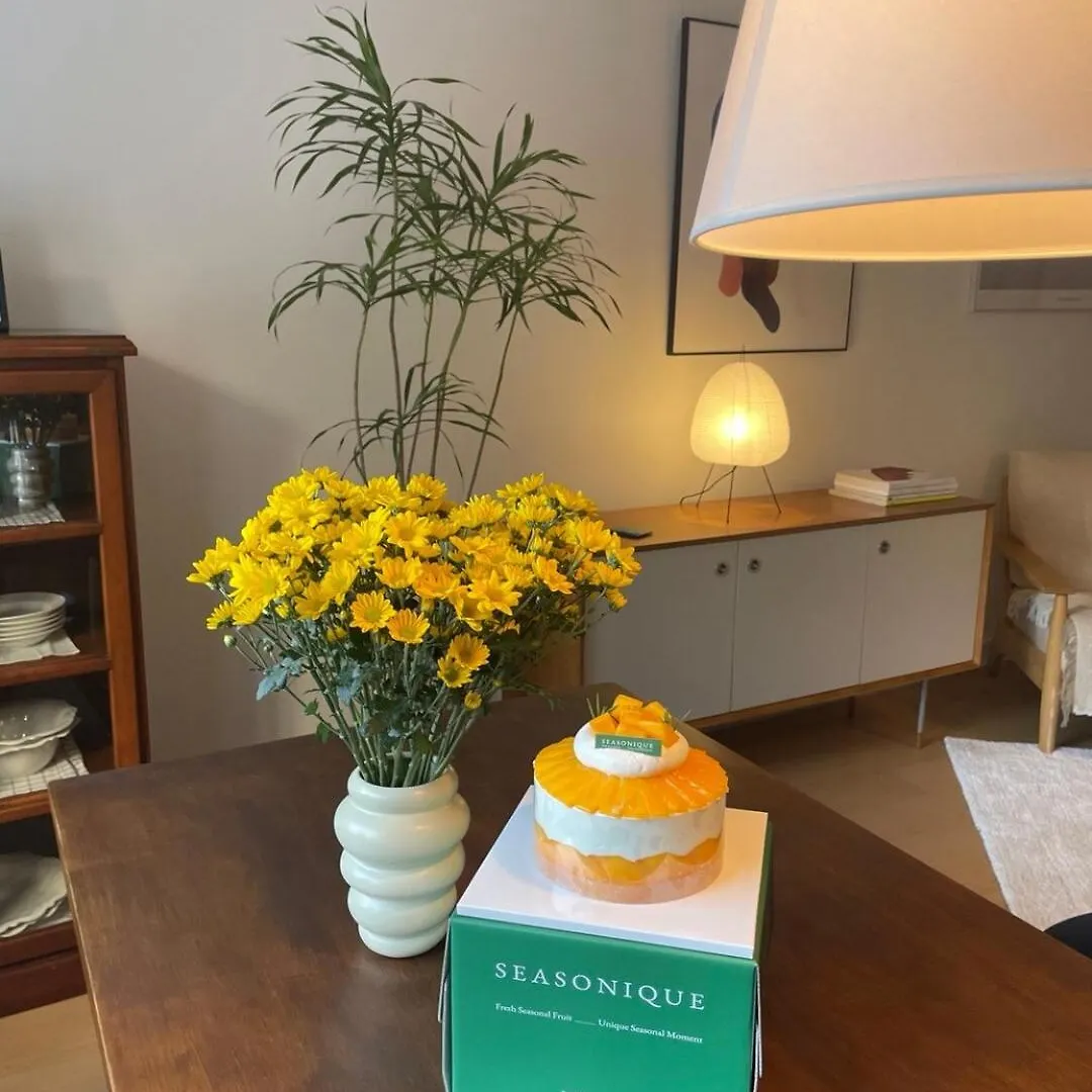 Namsan Brown House Apartment Seoul South Korea