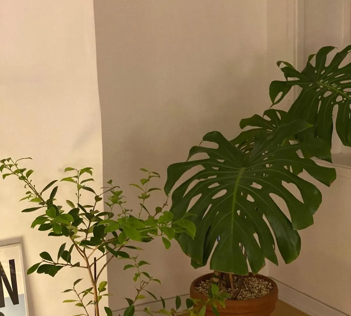 Namsan Brown House Apartment Seoul South Korea